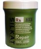 BES Silkat R6 Repair Tonus Lotion 12db ampulla